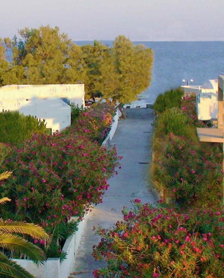 Located By The Sea One Beachfront Private Captain Lazaros Pool Villa With Loft In 750Sqm Spacious Private Plot-Jacuzzi-Sunrelax-Furnished Terace-Gazebo-Private Parking,Sleep 3 Adults And 2 Children, Just Steps From The Black Beach-Seaview Perissa  Exteriér fotografie